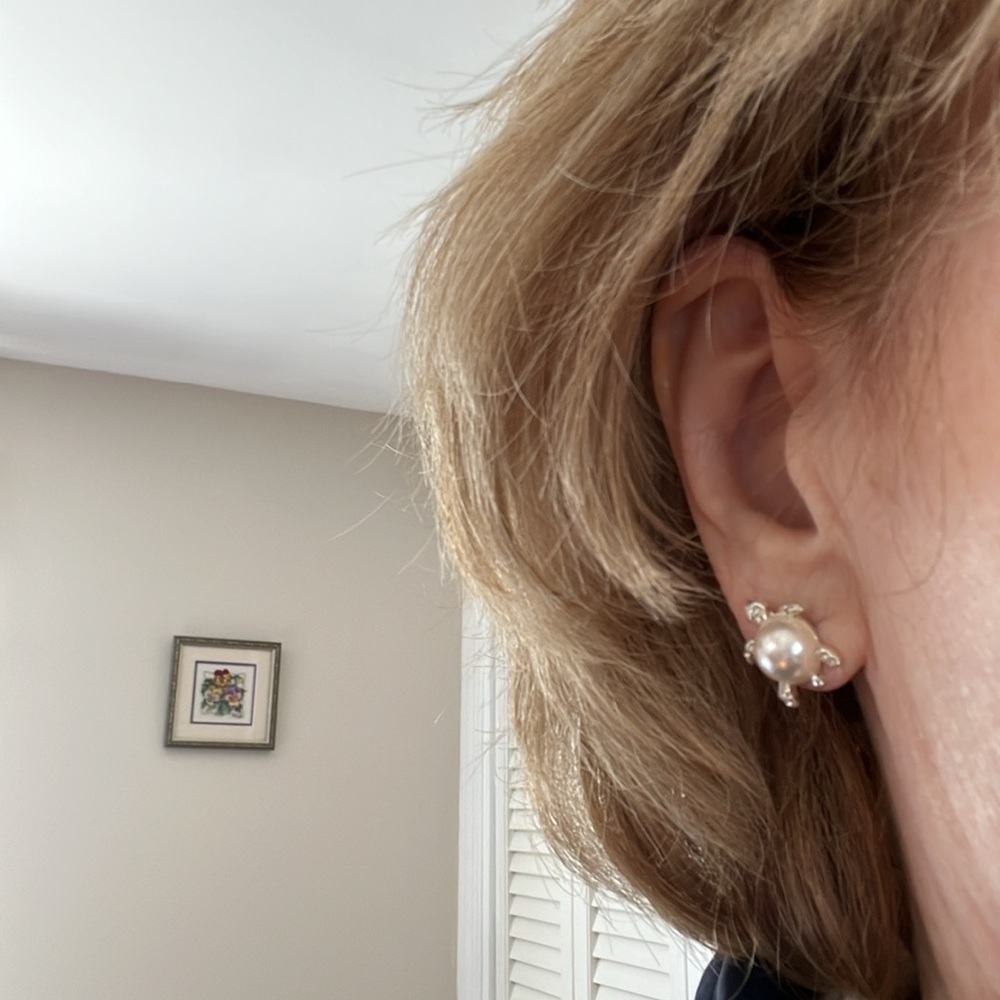 Talbots Turtle Stud Earrings